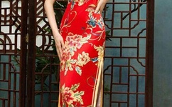 加藤鹰专业培训班